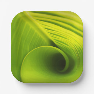 Paper Plate."Eco-Friendly Elegance: Leaf Design Di Paper Plate