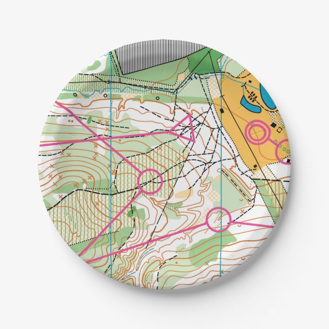 Paper plate - orienteering map (Front)