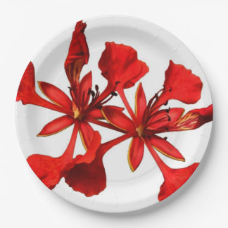 Paper Plate Royal Poinciana