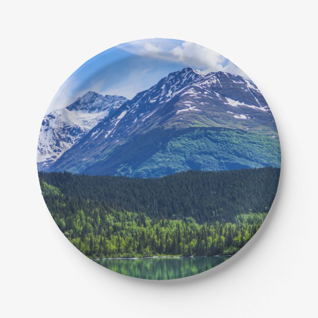 Paper Plates (Front)