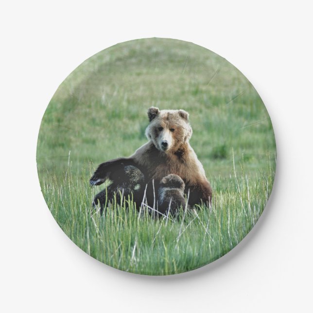 Paper Plates 7" w/ grizzly bear & cubs (Front)