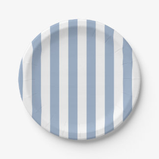 Paper Plates, Blue & White Stripe Birthday Paper Plate