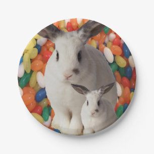 Paper plates Easter
