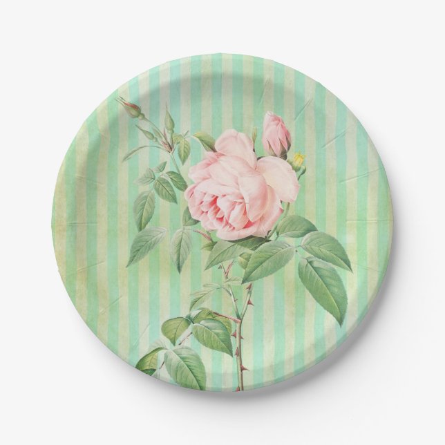 Paper Plates, Green Stripe Pink RoseFloral Flowers Paper Plate (Front)