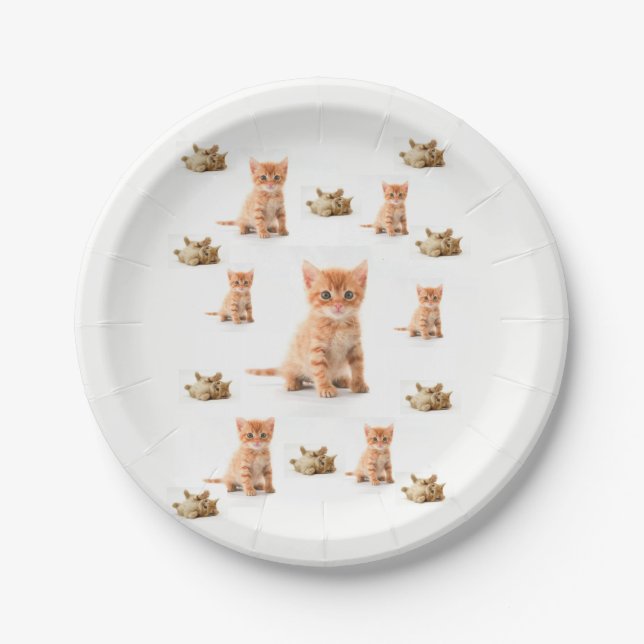 Paper Plates Kitten (Front)