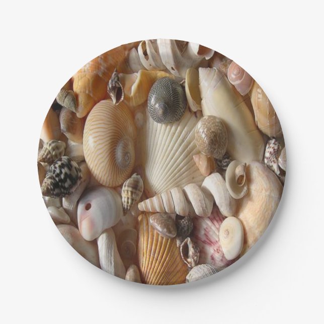Paper plates Seashells (Front)