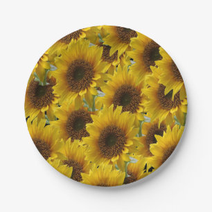 Paper plates Sunflowers