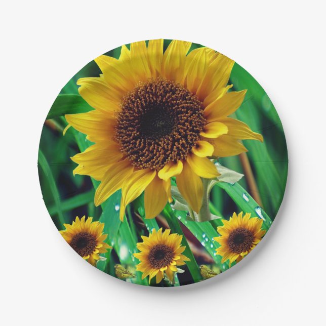 Paper plates Sunflowers (Front)