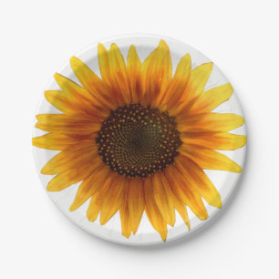 Paper plates Sunflowers