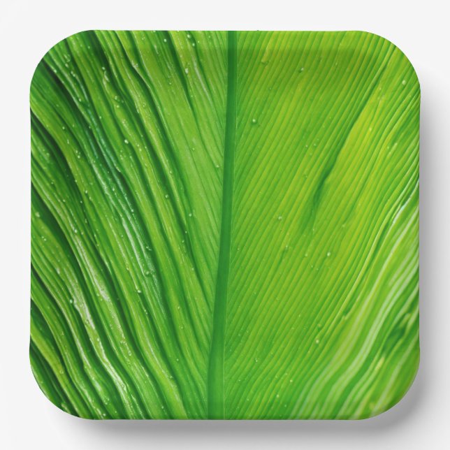 Paper Plates with Leaf Design (Front)