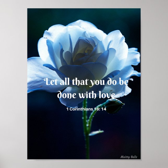 Paper poster print.  20x20. (Front)