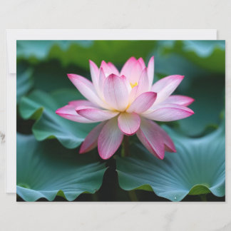 Paper Sheet,Floral Serenity