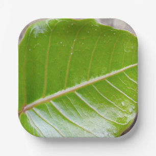 Paper Square Bowl with Leaf Design Plate