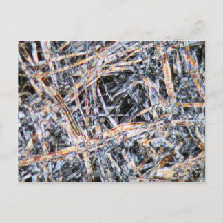 Paper under the microscope postcard