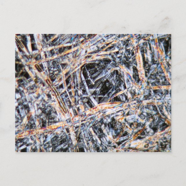 Paper under the microscope postcard (Front)