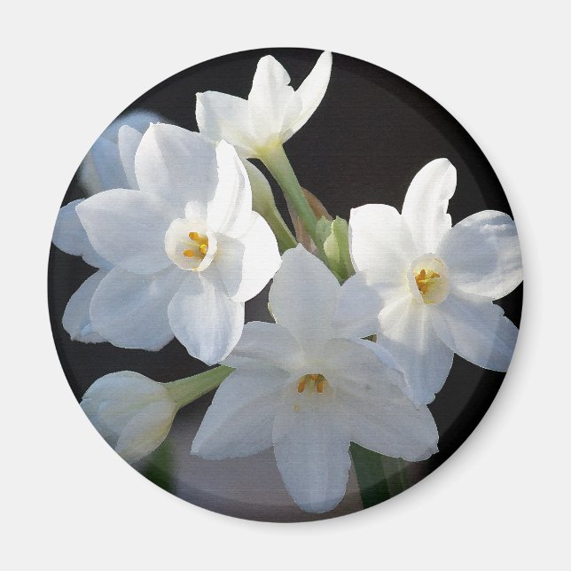 Paper Whites Flowers Magnet (Front)