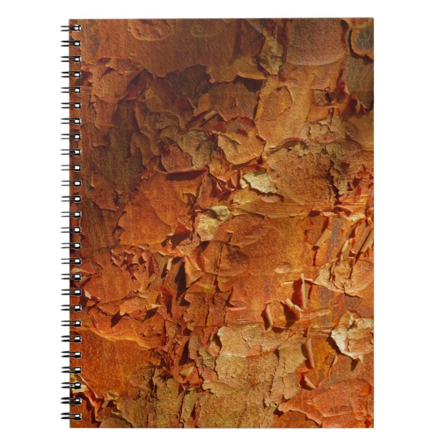 Paperbark Maple Notebook (Front)