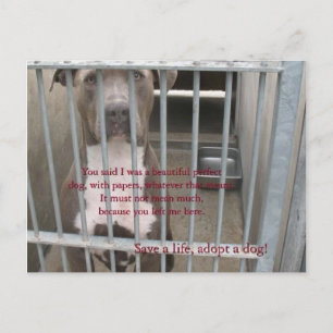 papers postcard