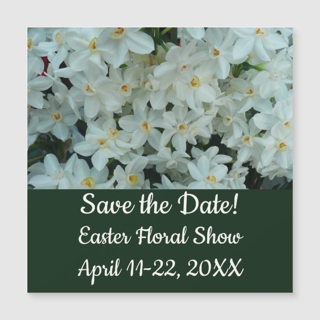 Paperwhite Narcissus Delicate White Flowers (Front)