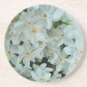 Paperwhite Narcissus Delicate White Flowers Coaster