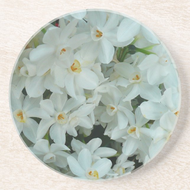 Paperwhite Narcissus Delicate White Flowers Coaster (Front)