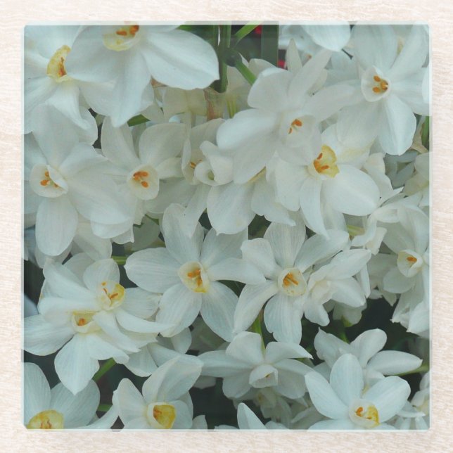 Paperwhite Narcissus Delicate White Flowers Glass Coaster (Front)