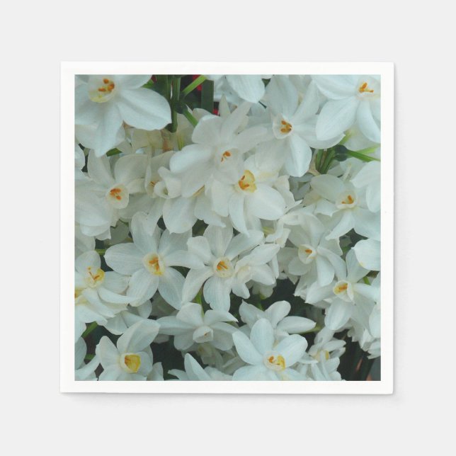 Paperwhite Narcissus Delicate White Flowers Napkin (Front)