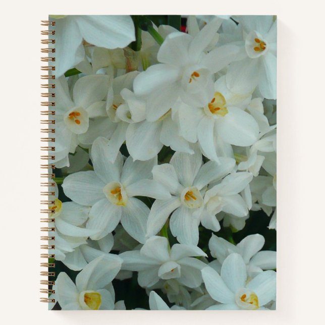 Paperwhite Narcissus Delicate White Flowers Notebook (Front)