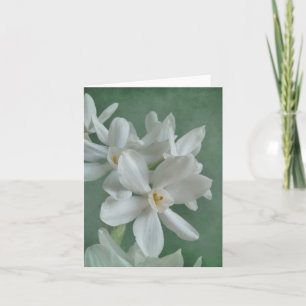 Paperwhite Narcissus Note Card