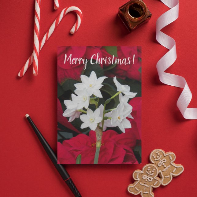 Paperwhites and Red Poinsettias Floral Christmas Card (In Situ)