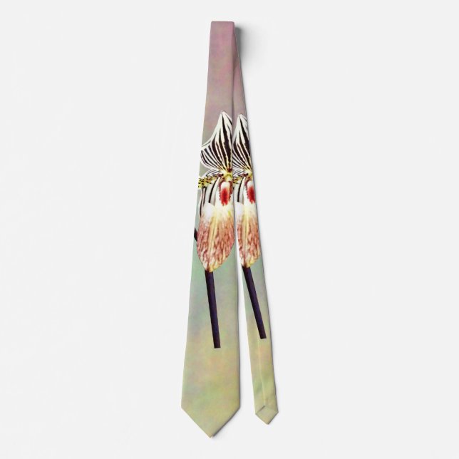 Paph Taiwan Tie (Front)