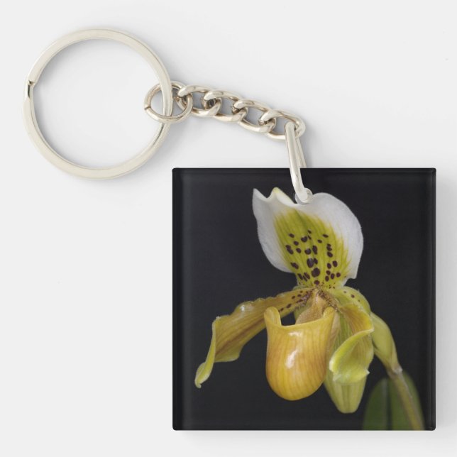 Paphiopedilum Exul Key Ring (Front)