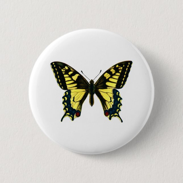 Papilio machaon 6 cm round badge (Front)