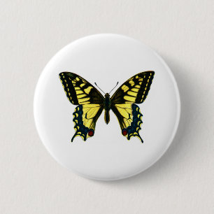 Papilio machaon 6 cm round badge