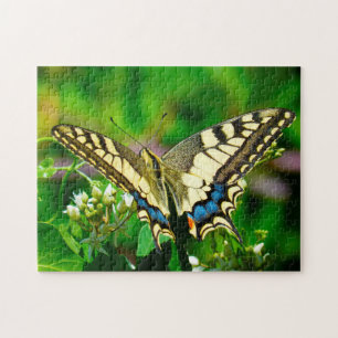 Papilio Machaon Butterfly. Jigsaw Puzzle