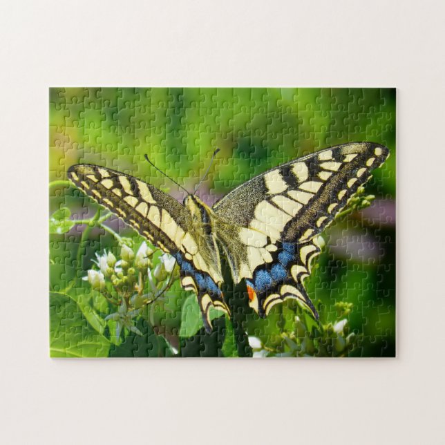 Papilio Machaon Butterfly. Jigsaw Puzzle (Horizontal)