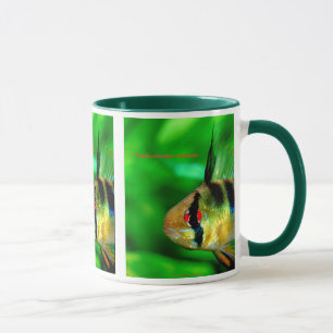 Papiliochromis ramirezi mug