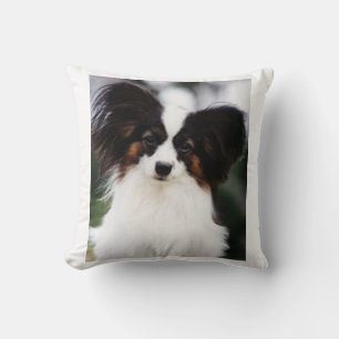 Papillon 2 cushion