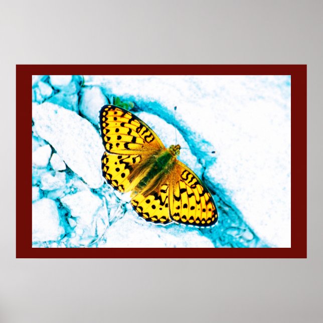 papillon 2 poster (Front)