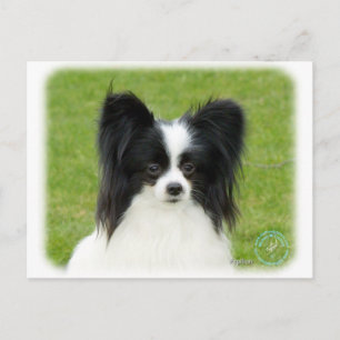 Papillon 9T056D-088 Postcard