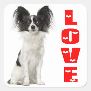 Papillon Black And White Puppy Dog - Love Puppies Square Sticker