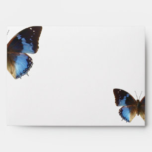 Papillon bleu envelope