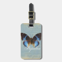 Papillon bleu