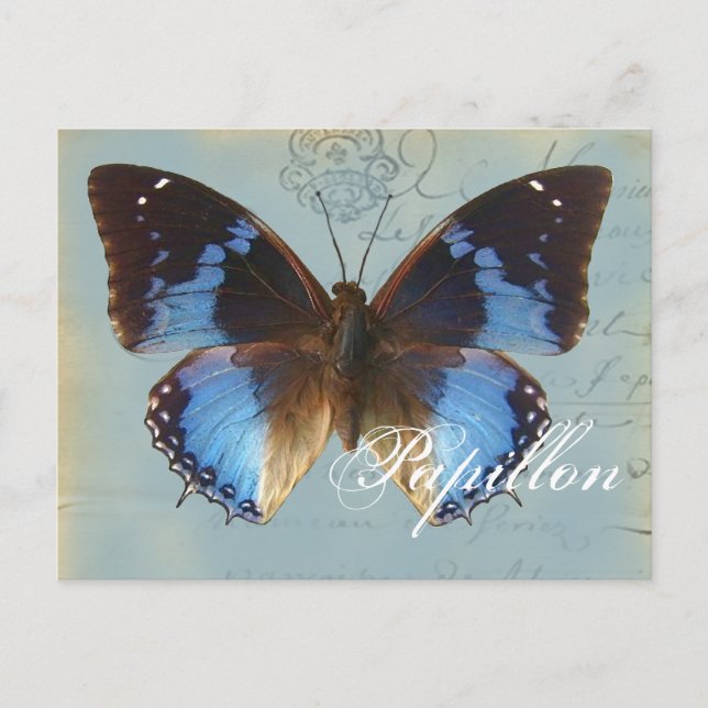 Papillon bleu postcard (Front)