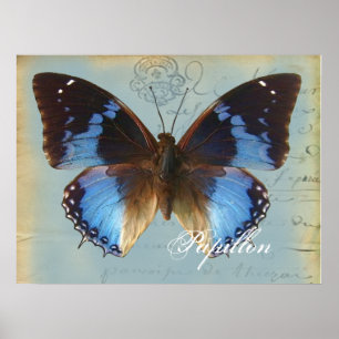 Papillon bleu poster