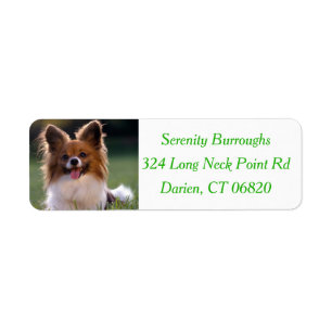Papillon Brown & White Puppy Dog - Green Return Address Label