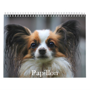 Papillon Calendar