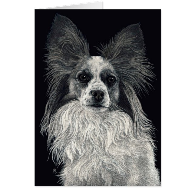 Papillon Card - "Sparkles" (Front)