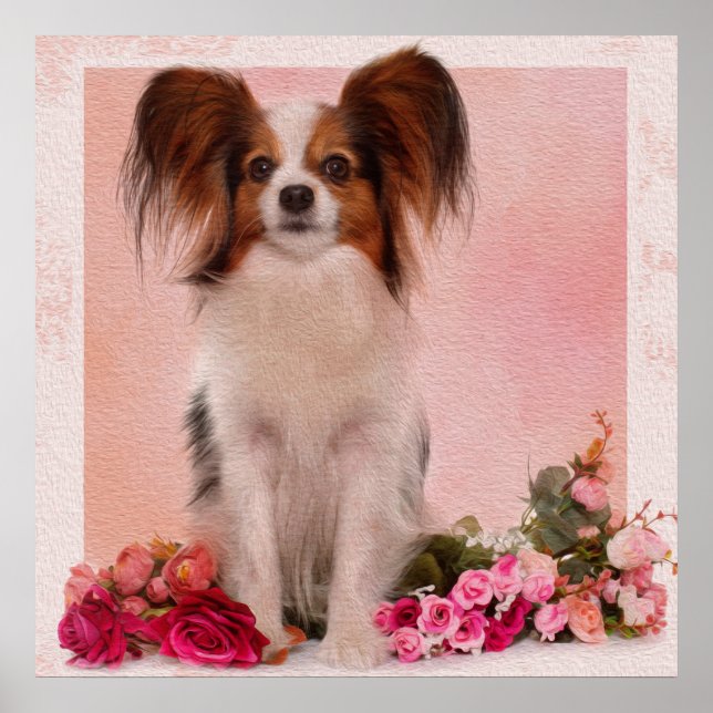 Papillon - Continental Toy Spaniel Poster (Front)
