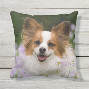 Papillon Dog Cute Romantic Portrait Photo - Outdoor Cushion